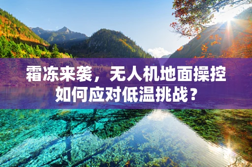 霜冻来袭，无人机地面操控如何应对低温挑战？