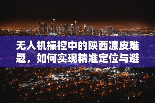 无人机操控中的陕西凉皮难题，如何实现精准定位与避障？