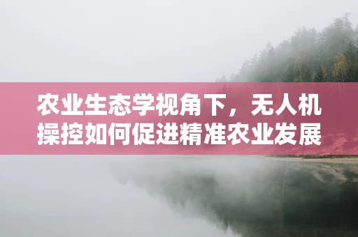 农业生态学视角下，无人机操控如何促进精准农业发展？