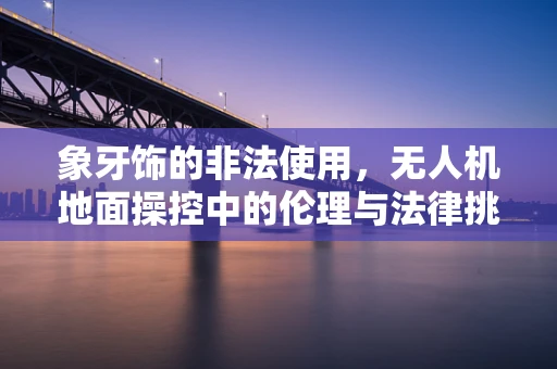 象牙饰的非法使用，无人机地面操控中的伦理与法律挑战