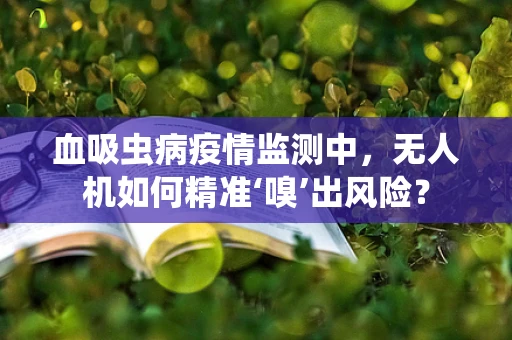 血吸虫病疫情监测中，无人机如何精准‘嗅’出风险？