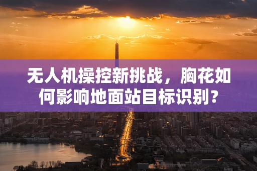 无人机操控新挑战，胸花如何影响地面站目标识别？