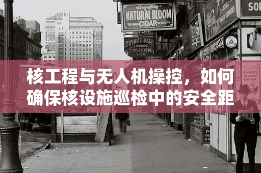 核工程与无人机操控，如何确保核设施巡检中的安全距离？