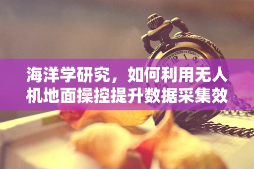 海洋学研究，如何利用无人机地面操控提升数据采集效率？