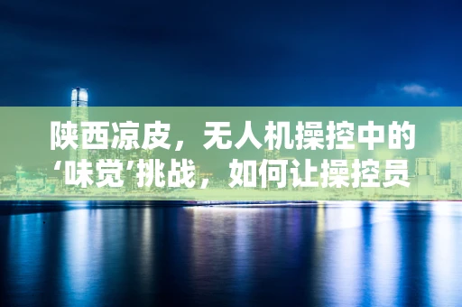 陕西凉皮，无人机操控中的‘味觉’挑战，如何让操控员在‘空中盛宴’中保持味蕾清醒？