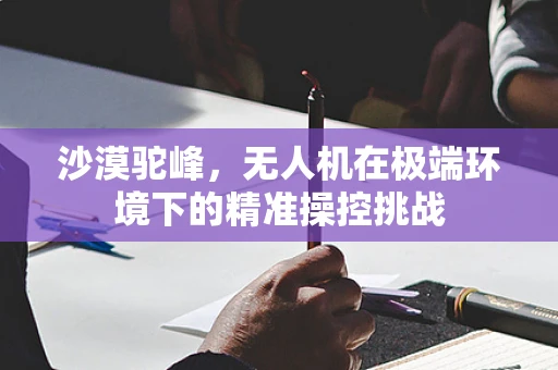 沙漠驼峰，无人机在极端环境下的精准操控挑战
