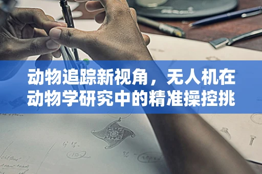 动物追踪新视角，无人机在动物学研究中的精准操控挑战