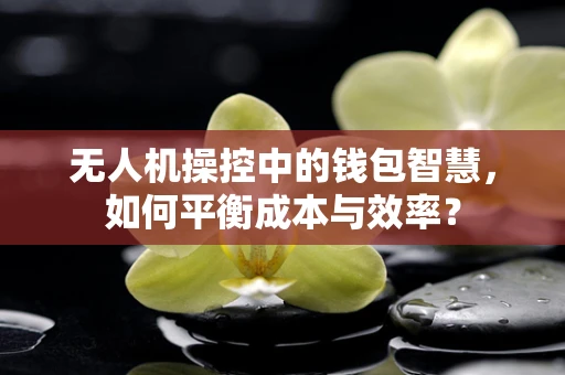 无人机操控中的钱包智慧，如何平衡成本与效率？