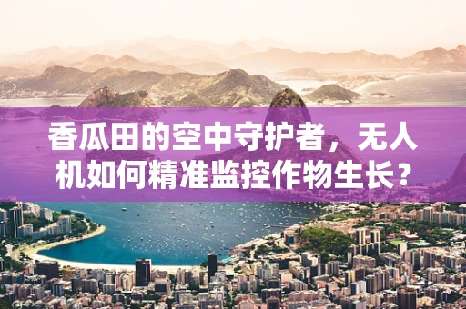 香瓜田的空中守护者，无人机如何精准监控作物生长？