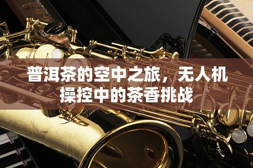 普洱茶的空中之旅，无人机操控中的茶香挑战