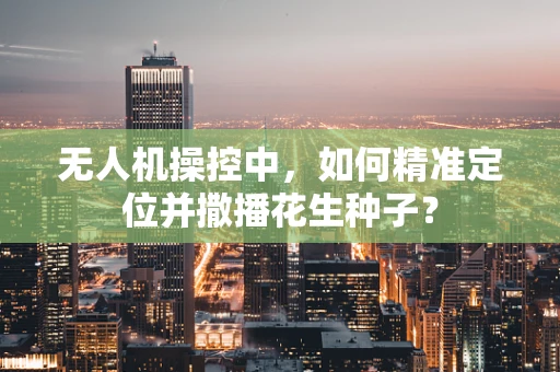 无人机操控中，如何精准定位并撒播花生种子？
