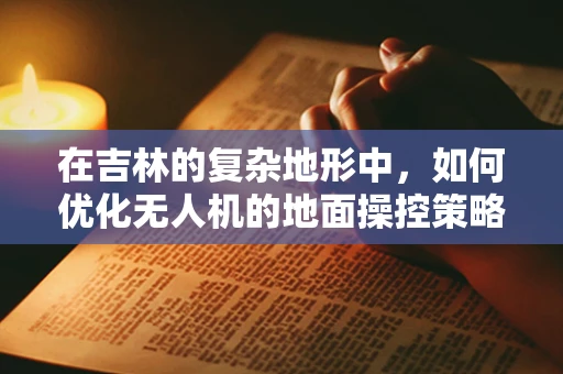 在吉林的复杂地形中，如何优化无人机的地面操控策略以提升飞行效率？