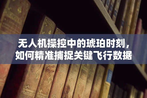 无人机操控中的琥珀时刻，如何精准捕捉关键飞行数据？