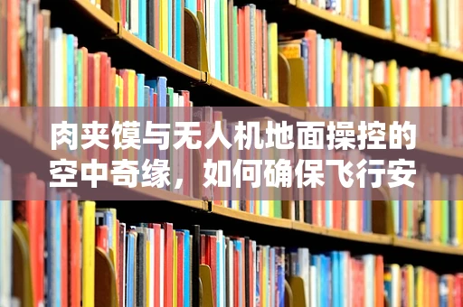 肉夹馍与无人机地面操控的空中奇缘，如何确保飞行安全与美食享受并存？