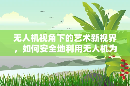 无人机视角下的艺术新视界，如何安全地利用无人机为艺术品店橱窗增添空中魅力？