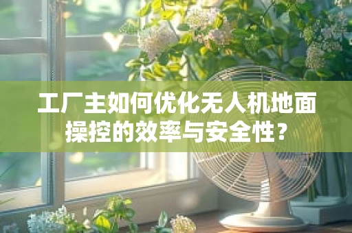 工厂主如何优化无人机地面操控的效率与安全性？