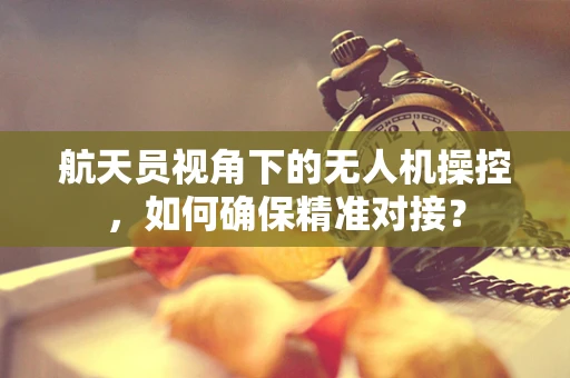 航天员视角下的无人机操控，如何确保精准对接？