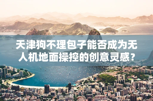 天津狗不理包子能否成为无人机地面操控的创意灵感？
