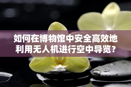 如何在博物馆中安全高效地利用无人机进行空中导览？