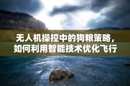 无人机操控中的狗粮策略，如何利用智能技术优化飞行员的能量补给？