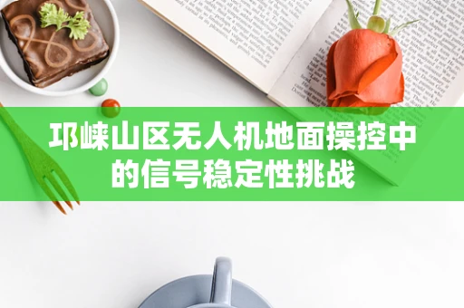 邛崃山区无人机地面操控中的信号稳定性挑战