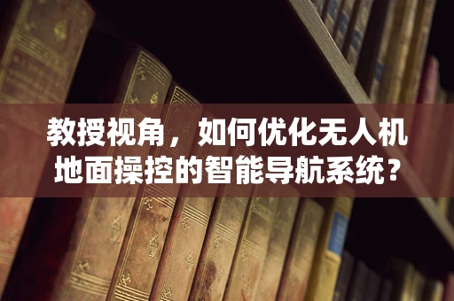 教授视角，如何优化无人机地面操控的智能导航系统？