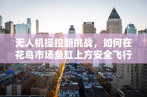 无人机操控新挑战，如何在花鸟市场鱼缸上方安全飞行？