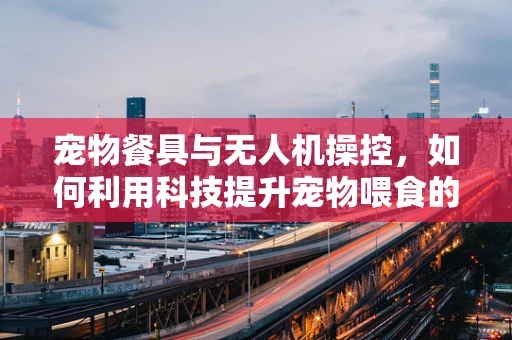 宠物餐具与无人机操控，如何利用科技提升宠物喂食的精准度？