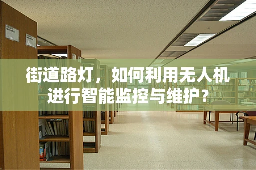 街道路灯，如何利用无人机进行智能监控与维护？