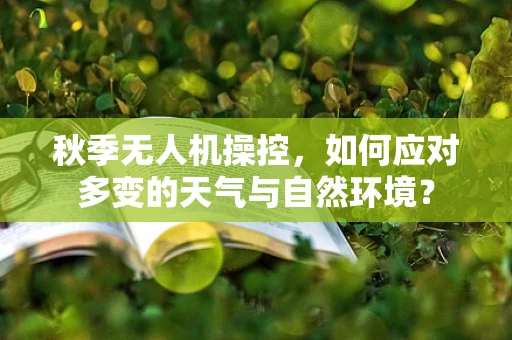 秋季无人机操控，如何应对多变的天气与自然环境？