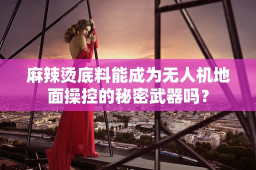 麻辣烫底料能成为无人机地面操控的秘密武器吗？