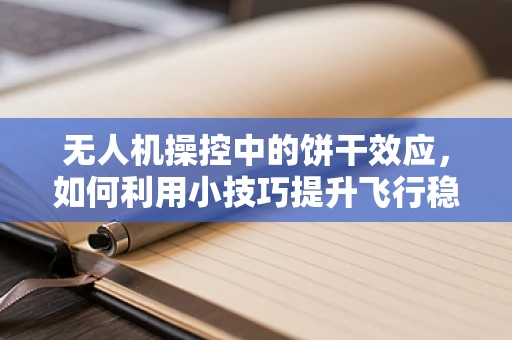 无人机操控中的饼干效应，如何利用小技巧提升飞行稳定性？
