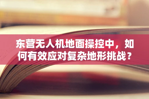 东营无人机地面操控中，如何有效应对复杂地形挑战？