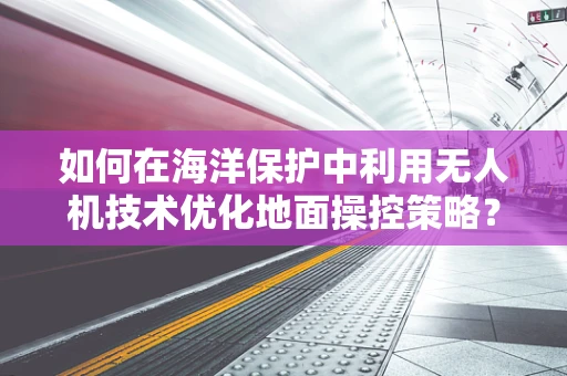 如何在海洋保护中利用无人机技术优化地面操控策略？