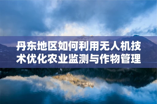 丹东地区如何利用无人机技术优化农业监测与作物管理？