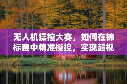 无人机操控大赛，如何在锦标赛中精准操控，实现超视距飞行？