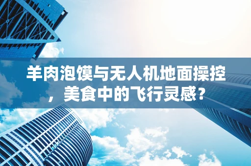 羊肉泡馍与无人机地面操控，美食中的飞行灵感？