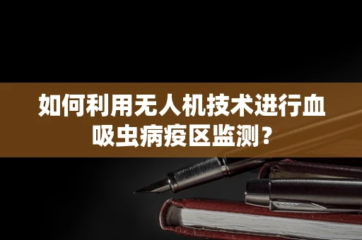 如何利用无人机技术进行血吸虫病疫区监测？