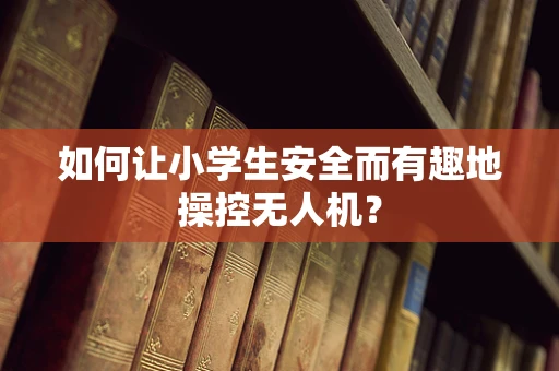 如何让小学生安全而有趣地操控无人机？