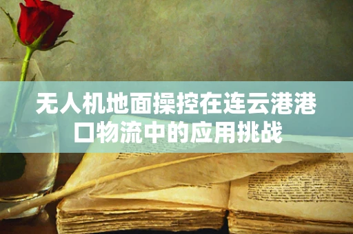 无人机地面操控在连云港港口物流中的应用挑战