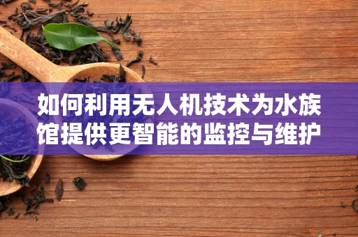 如何利用无人机技术为水族馆提供更智能的监控与维护？