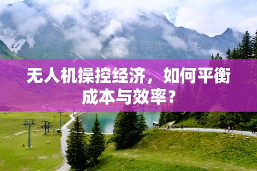 无人机操控经济，如何平衡成本与效率？