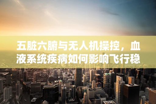 五脏六腑与无人机操控，血液系统疾病如何影响飞行稳定性？
