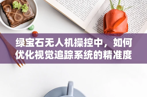 绿宝石无人机操控中，如何优化视觉追踪系统的精准度？