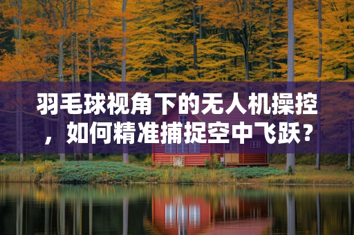 羽毛球视角下的无人机操控，如何精准捕捉空中飞跃？