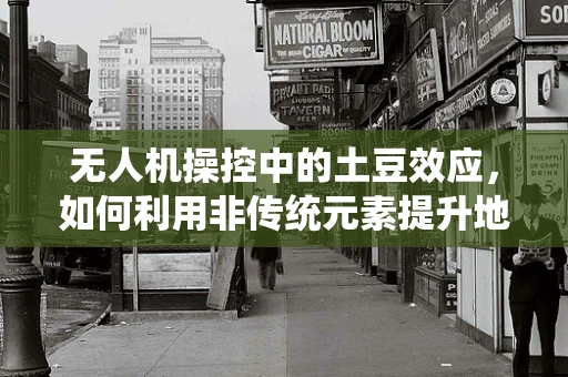 无人机操控中的土豆效应，如何利用非传统元素提升地面站用户体验？