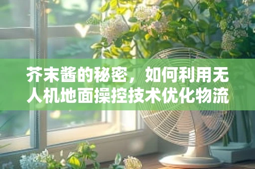 芥末酱的秘密，如何利用无人机地面操控技术优化物流配送？
