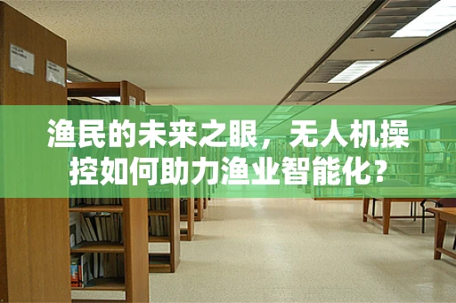 渔民的未来之眼，无人机操控如何助力渔业智能化？