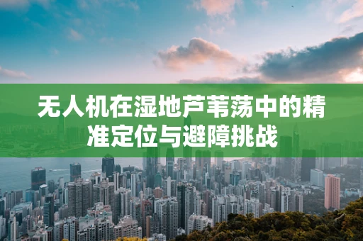 无人机在湿地芦苇荡中的精准定位与避障挑战