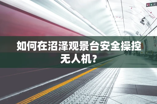 如何在沼泽观景台安全操控无人机？